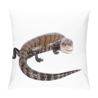 Personality  Eastern Blue-tongued Skink On White Pillow Covers