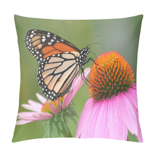 Personality  Monarch Butterfly Feeding On Coneflower Pillow Covers