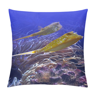 Personality  Horn Fishes Pillow Covers