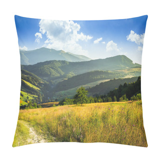 Personality  Path On Hillside Meadow In Mountain Pillow Covers