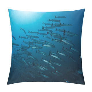 Personality  Large School Of Blackfin Barracuda Pillow Covers