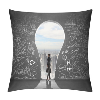 Personality  Businesswoman And Business Plan Pillow Covers