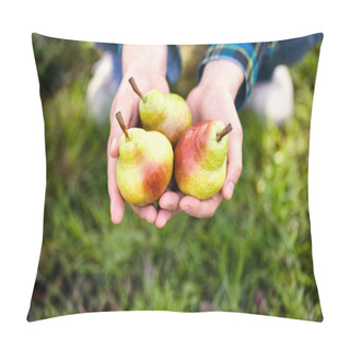 Personality  Fresh Pear Pillow Covers