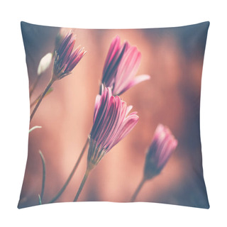 Personality  Closeup Grunge Style Photo Of A Beautiful Gentle Pink Daisy Flowers Over Blurry Background, Abstract Floral Wallpaper, Beauty Of Spring Nature Pillow Covers