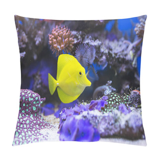 Personality  Yellow Tang Fish In Aquarium Pillow Covers