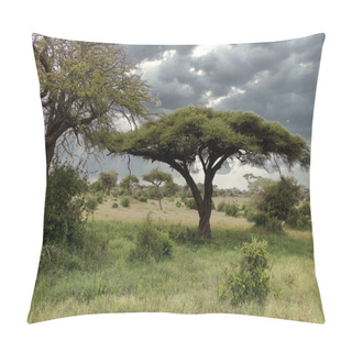 Personality  African Savannah Landscape In Tsavo East National Park, Kenya Pillow Covers