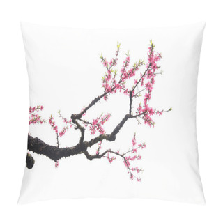 Personality  Pink Blossoms Pillow Covers