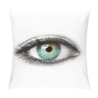 Personality  Beautiful Blue Human Eye Isolated On White Macro Shot Pillow Covers