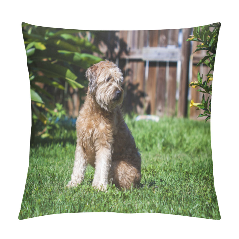 Personality  Goldendoodle Pillow Covers