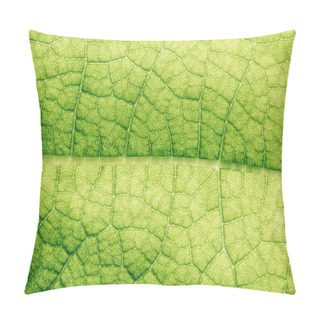 Personality  Macro Texture Of Green Floral Leaf  Pillow Covers