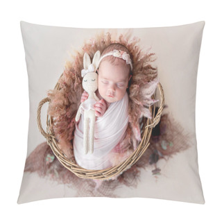 Personality  Adorable Newborn Girl Resting In Basket Pillow Covers