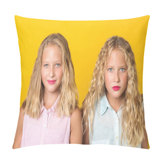 Personality  Emotional Pretty Teenage Twins Girls With Blonde Hair, Amazing Eyes And Clean Skin. Pillow Covers