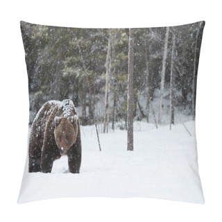 Personality  Brown Bear In Winter Pillow Covers