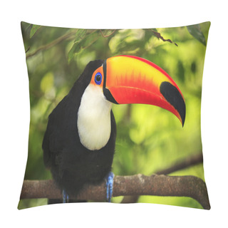 Personality  Toucan (Ramphastos Toco) Pillow Covers