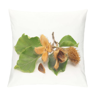 Personality  European Beech Fruits, Seed And Foliage Pillow Covers