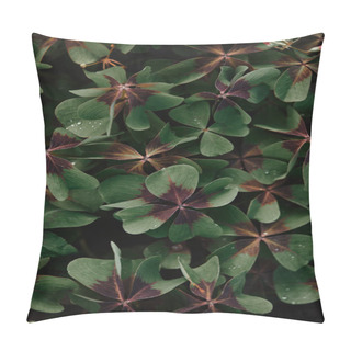 Personality  Full Frame Image Of Bronze Dutch Clover Covered By Water Drops Background  Pillow Covers