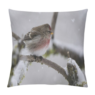 Personality  Redpoll Songbird Close Up On A Branch In Winter With Snow Falling. Pillow Covers