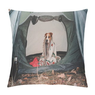Personality  Funny And Serious Dog In Blanket Inside A Tent. Pillow Covers