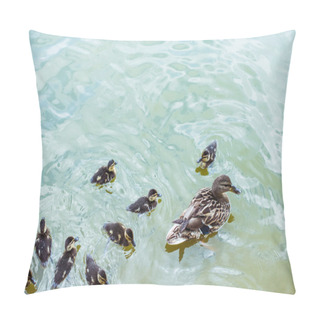 Personality  High Angle View Of Mother Duck With Her Ducklings Swimming In Blue Pond Pillow Covers