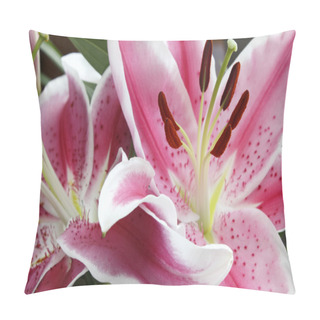 Personality  Stargazer Lily Flowers Closeup Pillow Covers