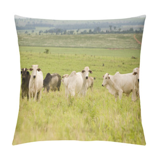 Personality  Cattle Grazing Pillow Covers