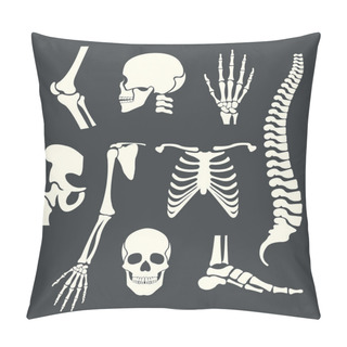Personality  Human Skeleton. Vector White Illustration Set Pillow Covers