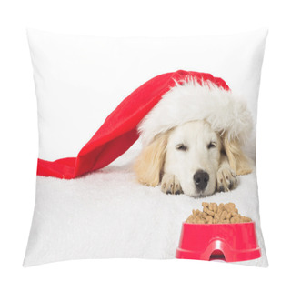 Personality  Christmas Labrador Puppy  Pillow Covers