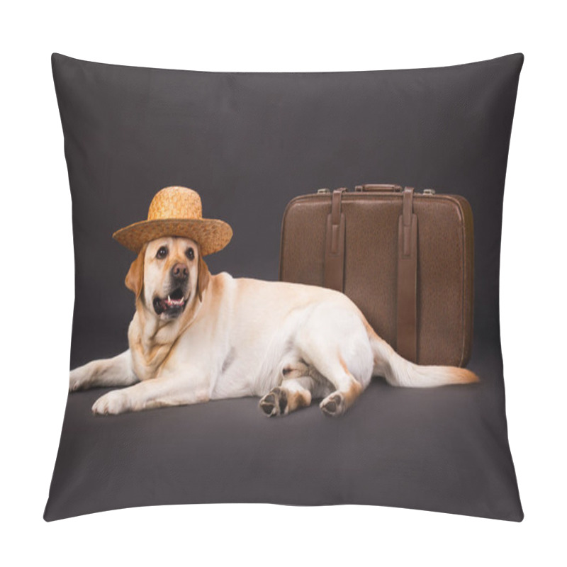 Personality  Labrador In Straw Hat And Brown Suitcase. Pillow Covers