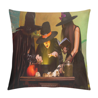 Personality  Photo Of Three Witches With Book Of Boiling Potions In Cauldron Pillow Covers