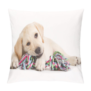Personality  Labrador Puppy Biting In A Coloured Toy Pillow Covers