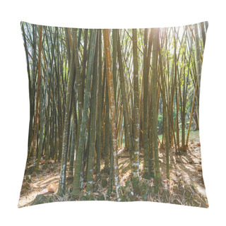 Personality  Bamboo Plants Pillow Covers