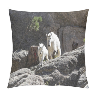 Personality  Mother Mountain Goat And Kid Pillow Covers