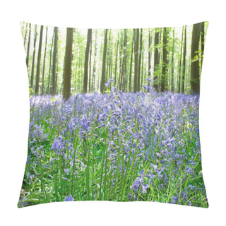 Personality  Field Of Blooming Wildflowers In Sun Lighted Forest Pillow Covers