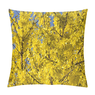 Personality  Blooming Forsythia Bush With Golden Flowers. Pillow Covers