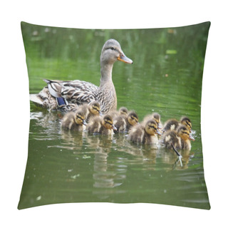 Personality  Mother Duck With Ducklings Pillow Covers