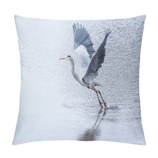 Personality  Beautiful Great Blue Heron Taking Off From A Pond  Pillow Covers