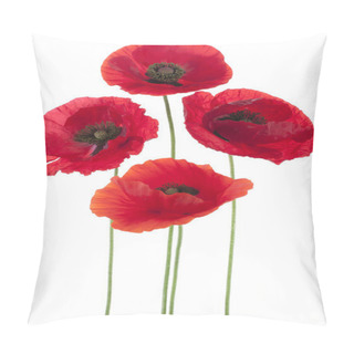 Personality  Poppy Pillow Covers