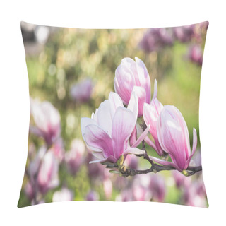 Personality  Beautiful Blossom Of Magnolia Tree. Wonderful Springtime Nature Background. Tender Purple Flowers Pillow Covers