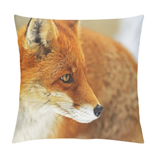 Personality  Portrait Foxes Pillow Covers