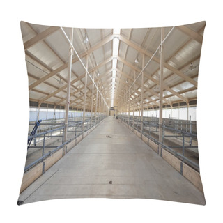 Personality  The Construction Of The New Barn. Dubossary. Transdniestria. Pillow Covers