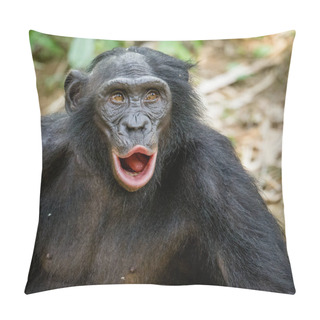 Personality  Bonobo In Natural Habitat Pillow Covers