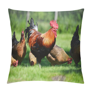 Personality  Rooster And Chickens On Traditional Free Range Poultry Farm Pillow Covers