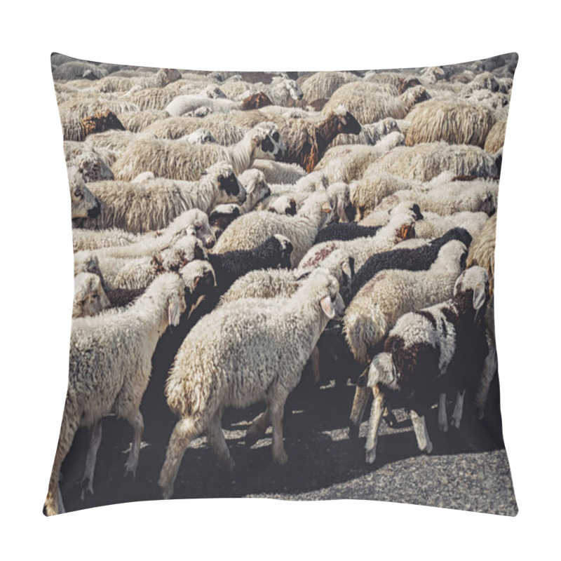 Personality  Herd pillow covers