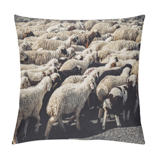 Personality  Herd Pillow Covers