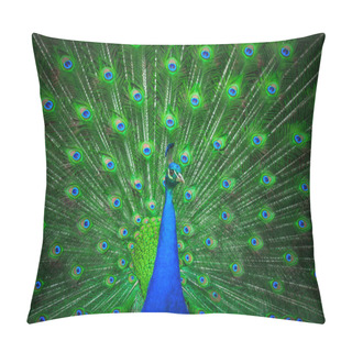 Personality  Portrait Of Beautiful Peacock  Pillow Covers