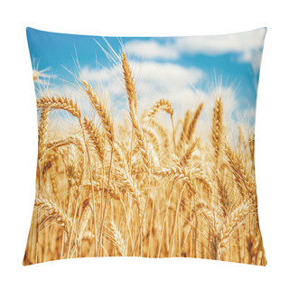 Personality  Gold Wheat Field And Blue Sky Pillow Covers