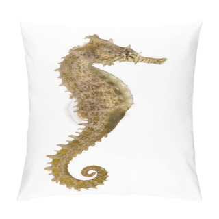 Personality  Side View Of A Common Seahorse, Hippocampus Kuda, Isolated On Wh Pillow Covers