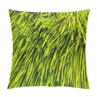 Personality  Barley Grass Pillow Covers