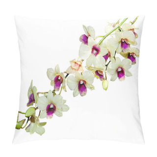 Personality  Beautiful Orchid Isolated On White Background Pillow Covers