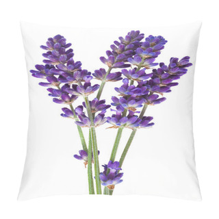 Personality  Lavender Pillow Covers
